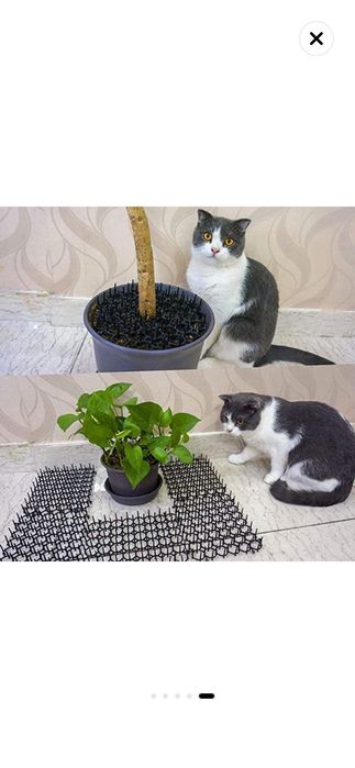 Gard cu tepi protectie pisici