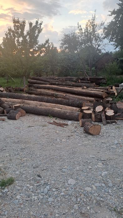 Lemn stejar construcții