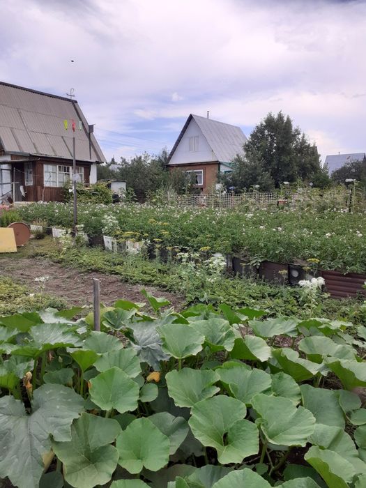 Продаю дачу район Куленовки