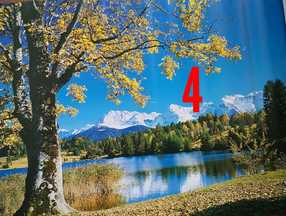 Плакаты. Обои. 107см/ 77см.