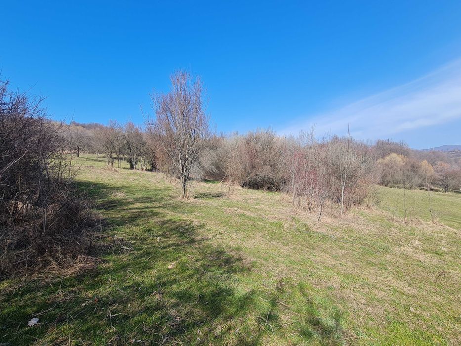 Teren pt cabana , picnic , relaxare , liniste , natura .