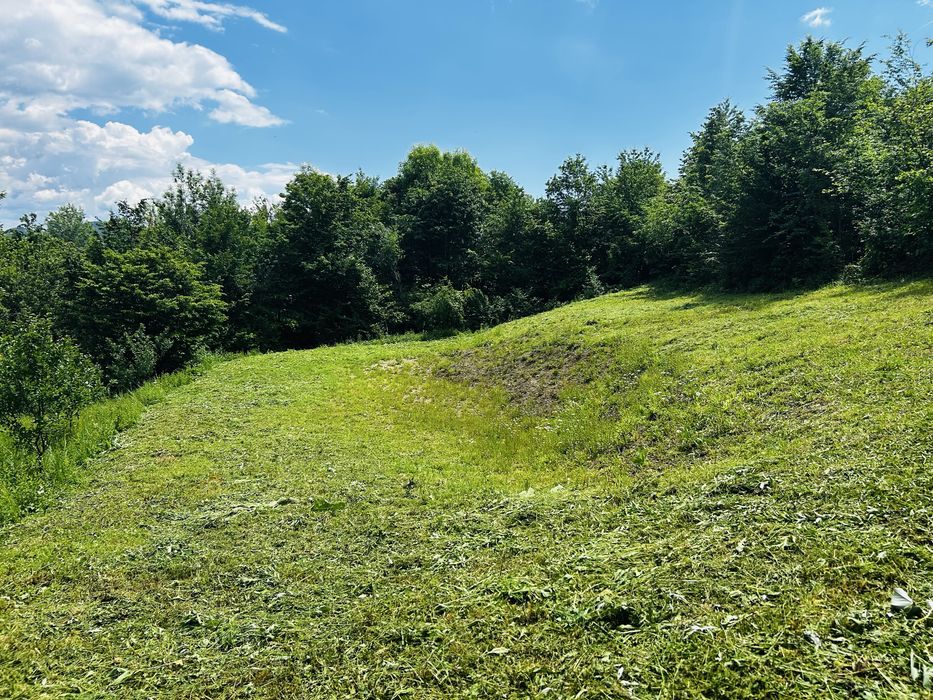 Teren intravilan de vânzare – Poiana Câmpina, Prahova | 1357 mp | Lângă pădure