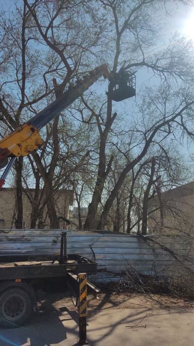 Услуги Автовышка АГП