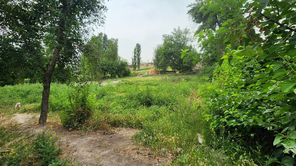 Yangiyolda yer sotiladi