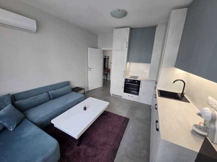 Двустаен апартамент в София-Хладилника