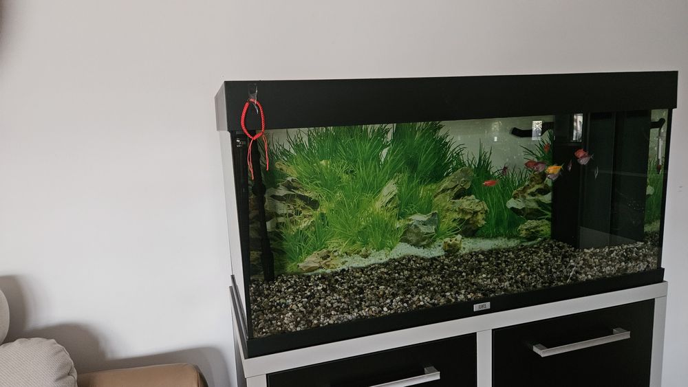 Vind acvariu Juwel rio 180