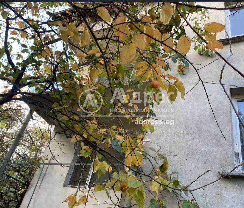 Самостоятелна къща в Ивайловград