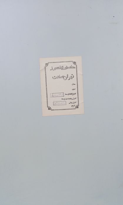 professionalni  seyf