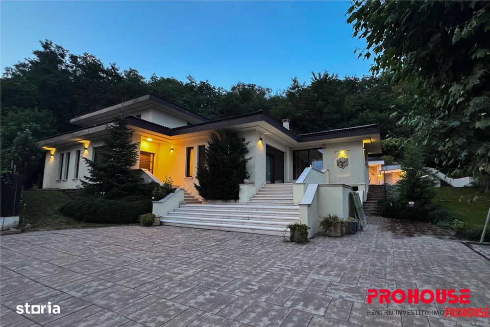 Eleganta Fara Compromis | Resedinta Exclusivista In Bacau | 424 Mp Con
