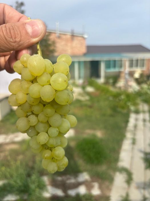 Продам дом два уровня