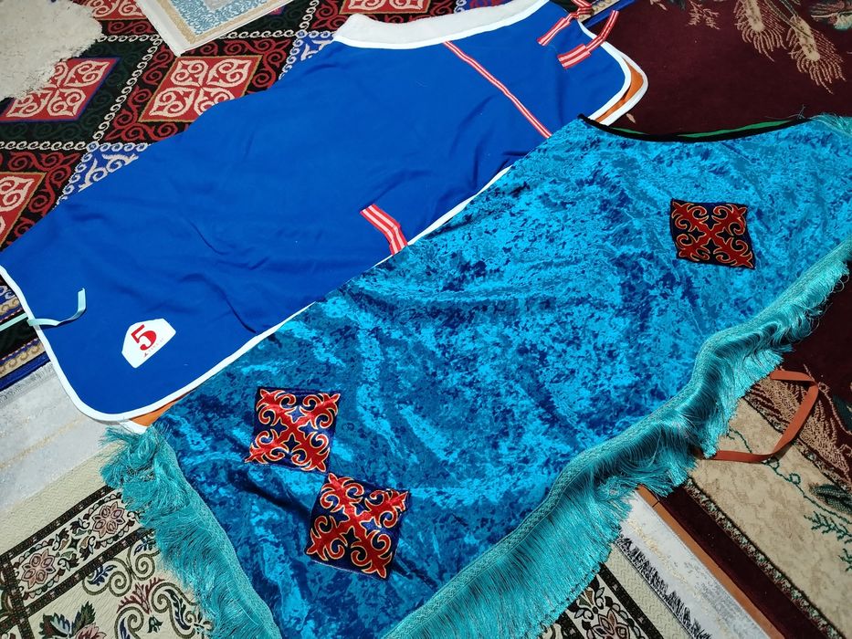 Ат әбзелдеры Тдк