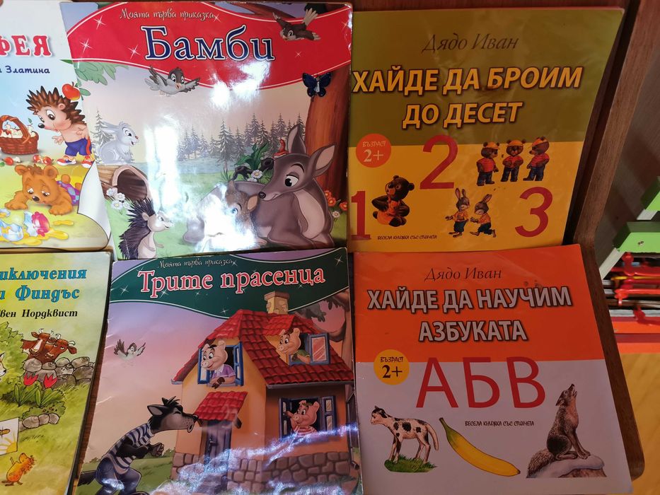 Къща за кукли, детски книжки, играчки, кукла-бебе, бутилка Frozen