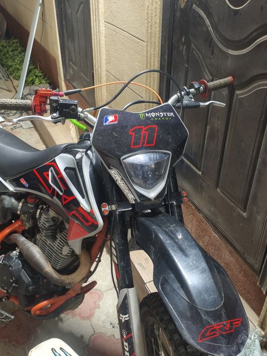 progasi palima 300 на 4 клопе