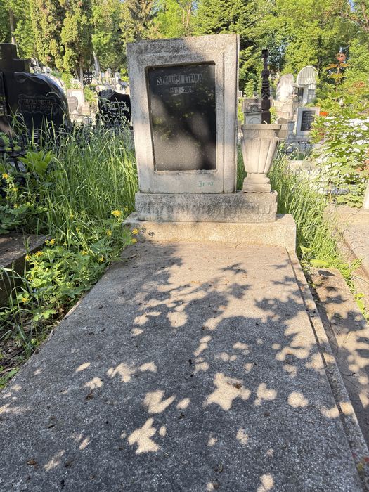 Loc de veci cimitirul central Cluj