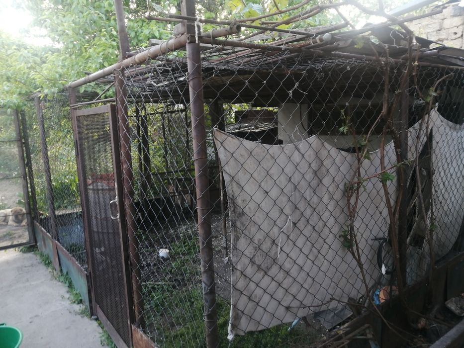 Дача. Район Чолдала