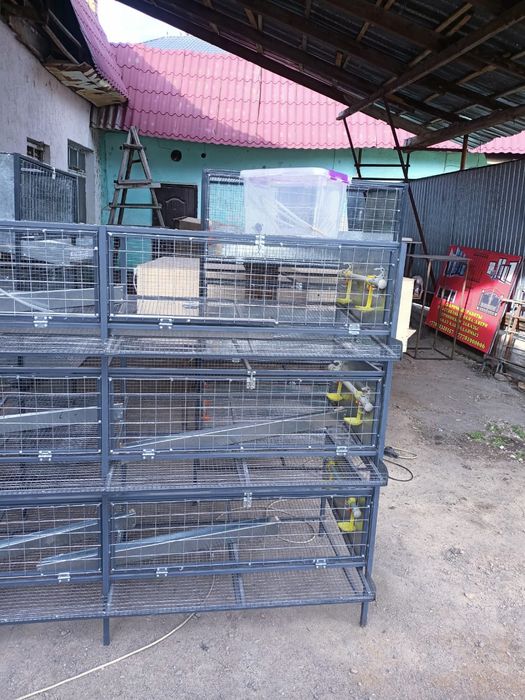 Клетка для курей