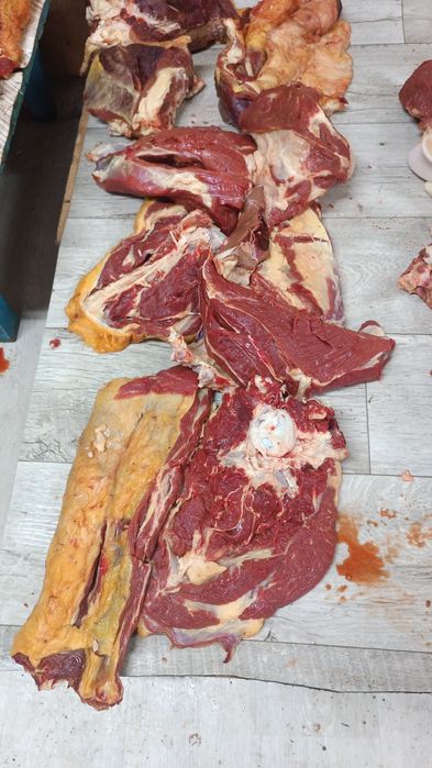 Мясо говядины, доставка бесплатная