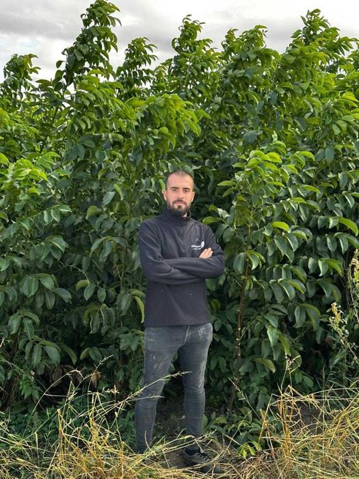 INFIINTAM LIVEZI/Nuci/ALuni. Subventionate de stat.650E