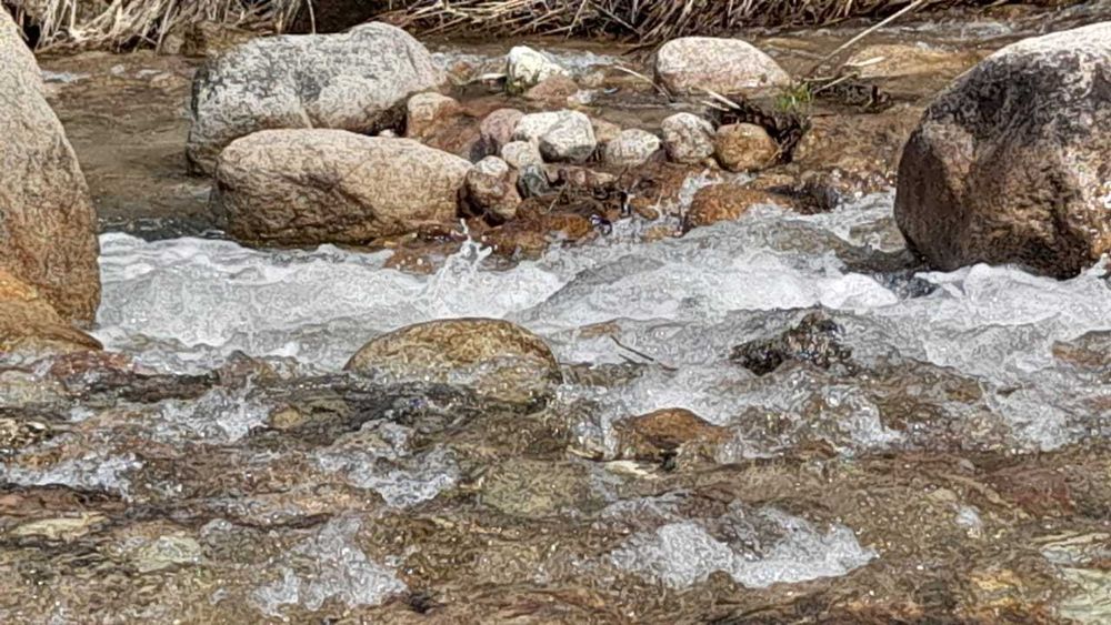 Срочно продается фазенда