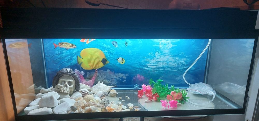 Продам аквариум новый