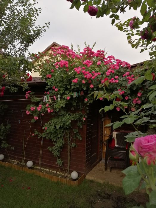 Se oferă spre vânzare duplex p+1  complet mobilat și utilat.Direct propietar.Comuna Berceni zona Trandafirilor.5minute față de Lidl.