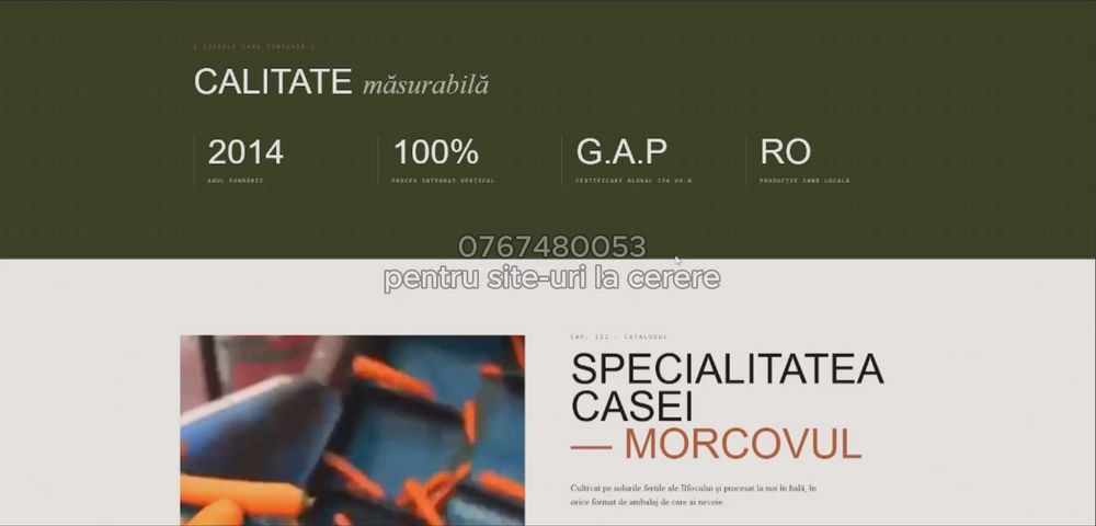 Creare site-uri moderne pentru firme + hosting + domeniu + publicare online (PREȚ FOARTE ACCESIBIL]