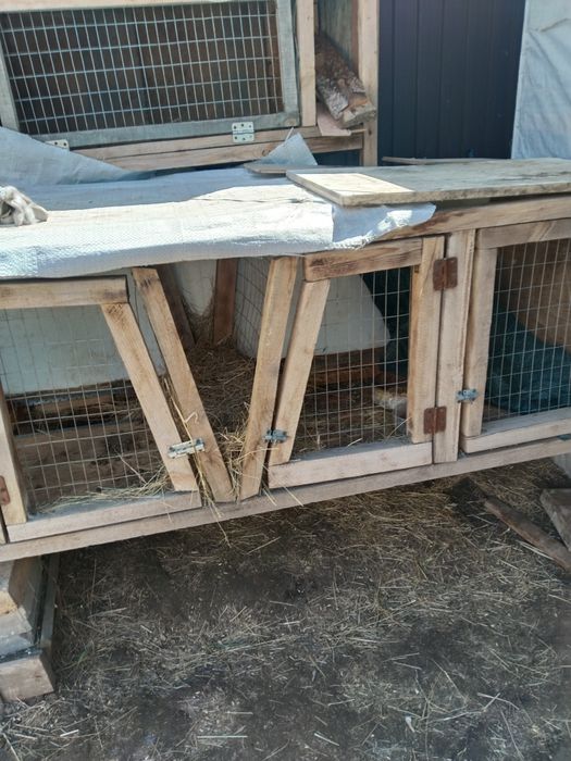 Продаются клетки кроликам