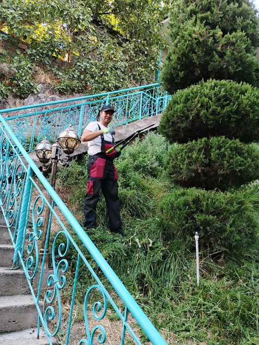 Услуга садовника