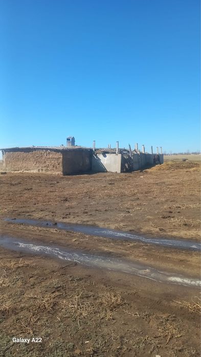 Продам крестьянское хозяйство