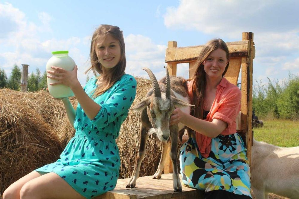 Крестьянское хозяйство с КРС меняю на кв или авто.