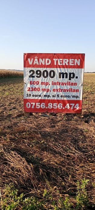 Teren suprafață 2300 metri pătrați, 10 € metru pătrat