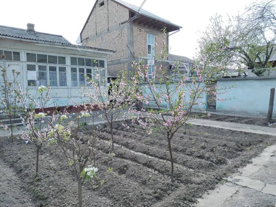 Андижон шаҳар марказида йўлни бўйида ижарага ховли уй берилади