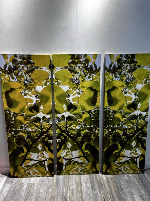 Срочно модульные картины