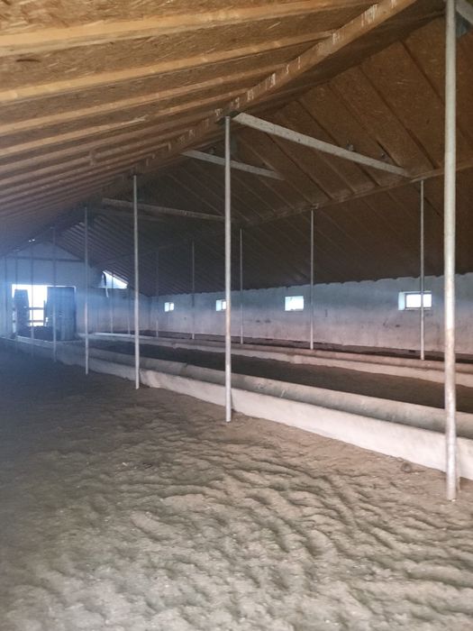 Продается фазенда