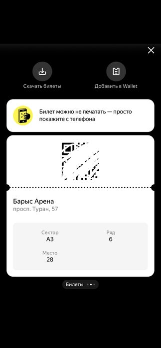 Барыс-Нефтехимик билет А сектор