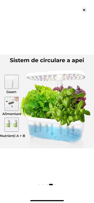 Ghiveci Inteligent,  hidrofonic de Crestere Avansat