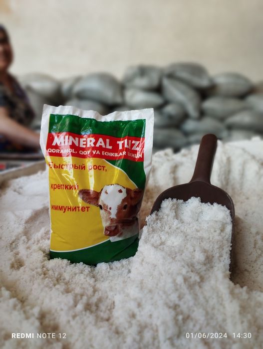 Mineral tuz chorva uchun