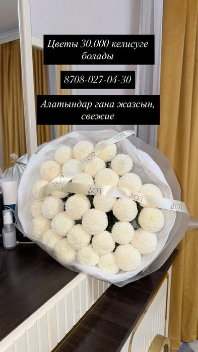 Цветы момоко за 25тыс