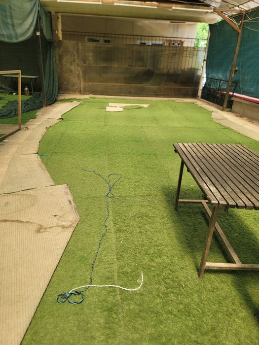 искусственный газон