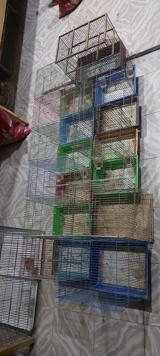 Клетки китайские Оптом