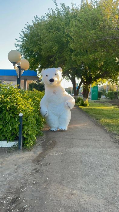 Аниматоры, поздравления, мишка умка