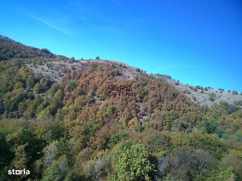 Teren in Apuseni Valisoara