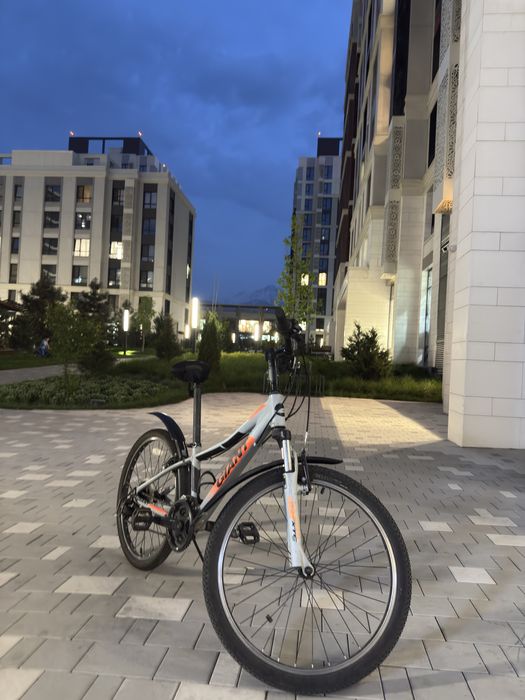 Giant MTB (Горный велосипед)