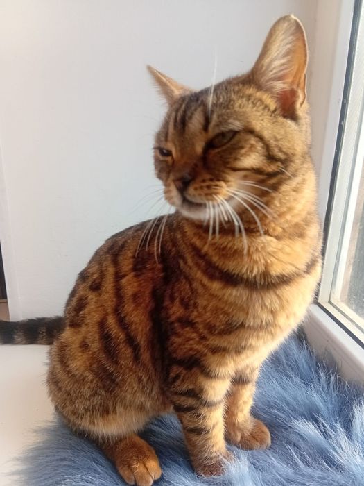 В самые добрые и ответсвенные руки