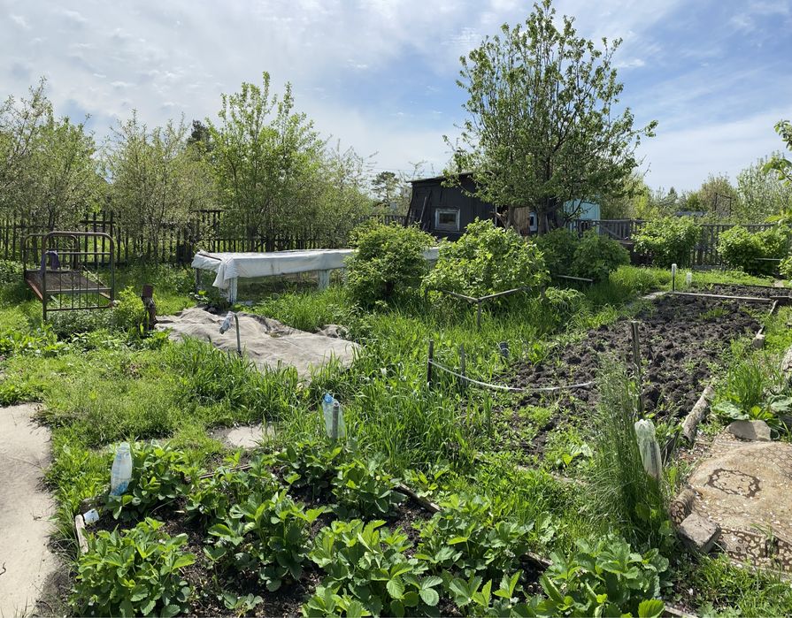 Дача в кооперативе Борки