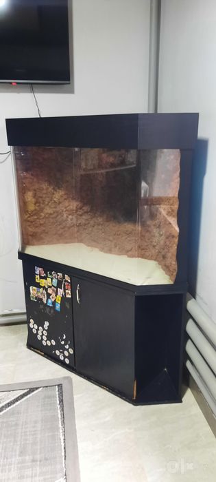 Akvarium akril sotiladi