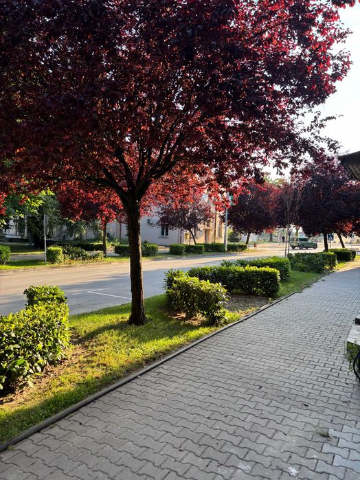 Офиси под наем в Свиленград