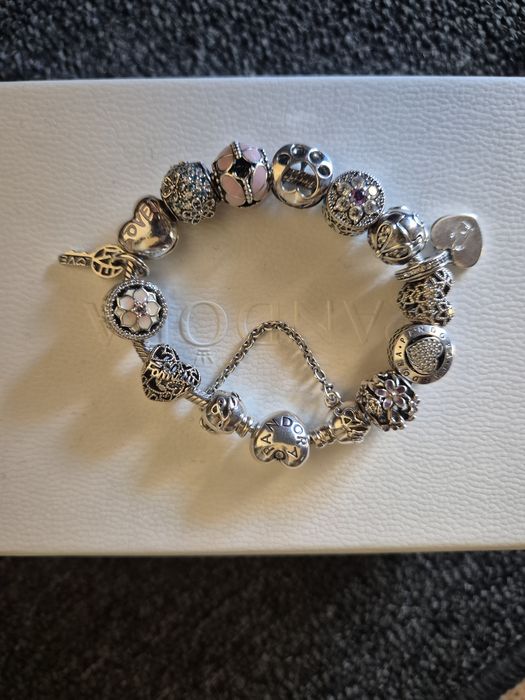 Гривна Пандора Моментс