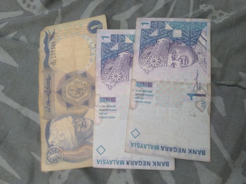 Лот банкноти от целия свят.