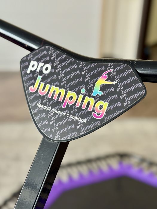 Профессиональный фитнес батут Pro Jumping